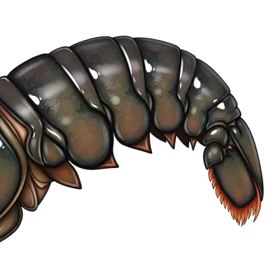 Imagen PNG para descargar